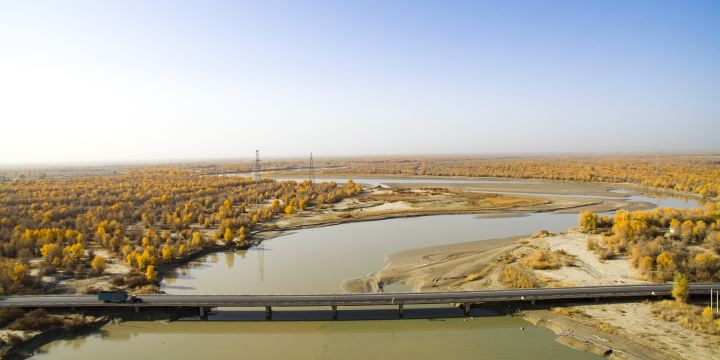 Tarim River Bridge, Alear