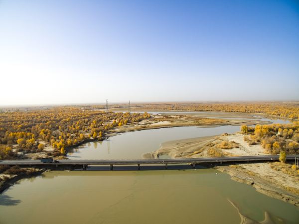 Tarim River Bridge, Alear