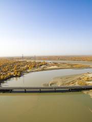 Tarim River Bridge, Alear