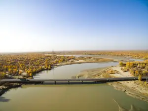 Tarim River Bridge, Alear