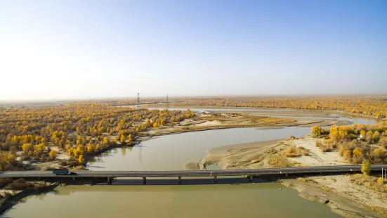 Tarim River Bridge, Alear