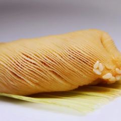 CHAIMENHUI User Photo