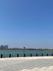 少荃湖濕地公園