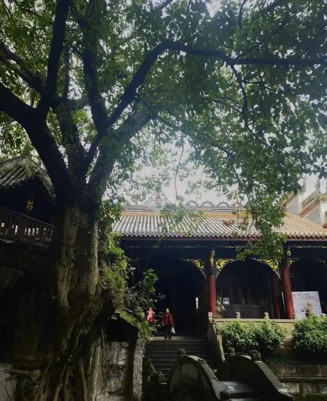 Hotels near Chunqiuci