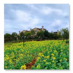 半岛翡丽海鲜自助餐厅 User Photo