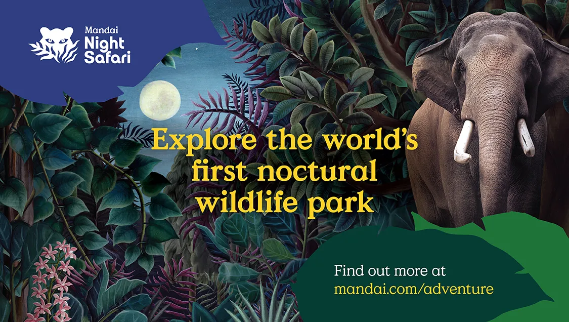 1_夜間野生動物園