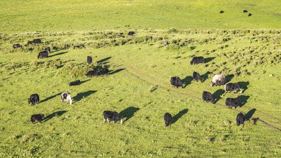 Riganqiao Scenic Spot, Grassland National Park