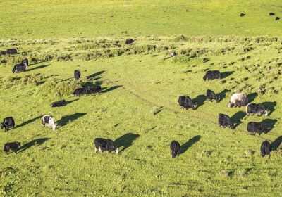 Riganqiao Scenic Spot, Grassland National Park