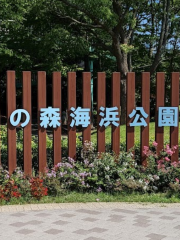 辰巳之森海濱公園