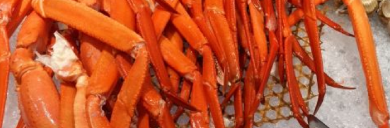 JING YU DAO HAI XIAN ZI ZHU