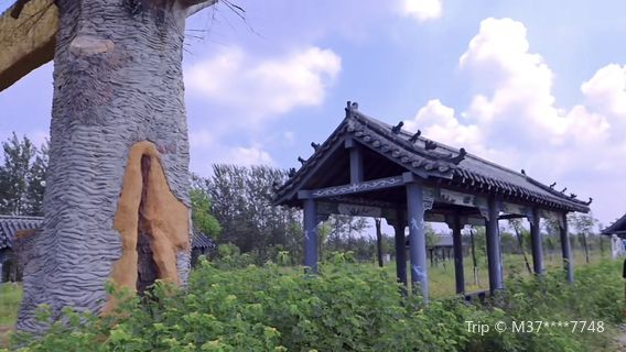 Pingyuan Linhai Self-driving Tour