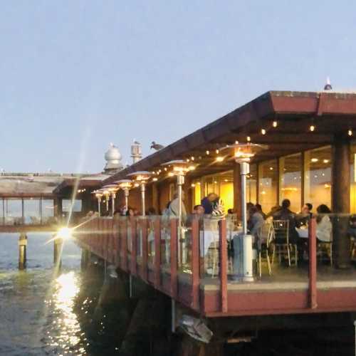 The Spinnaker