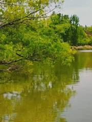 桂河濕地公園