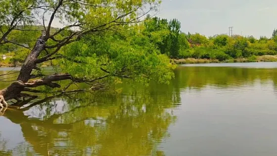 桂河濕地公園