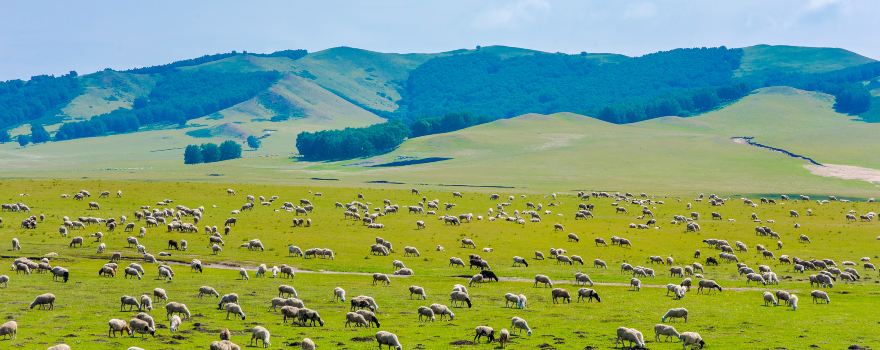 河北承德旅游攻略:避暑山庄、塞罕坝、金山岭长城 河北承德旅游攻略:避暑山庄、塞罕坝、金山岭长城