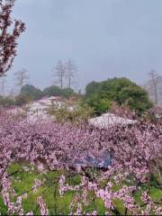 Peach Blossom Ditch, Longquan