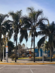 Plaza Barrio Marina - Villa Luzuriaga