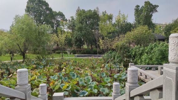 龍港城市公園
