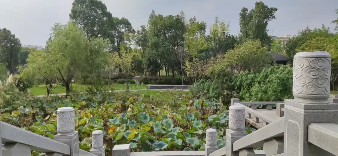 龍港城市公園附近的飯店
