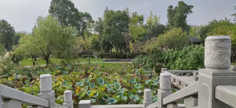 Longgang, Zhejiang