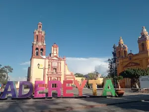 Principal Cadereyta Garden