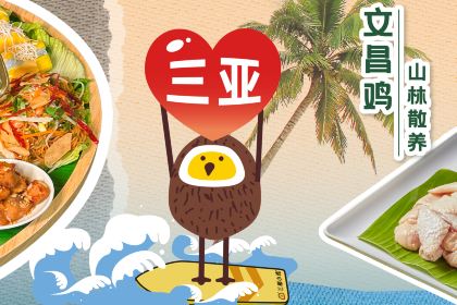 椰小鸡·椰子鸡(椰梦长廊店)