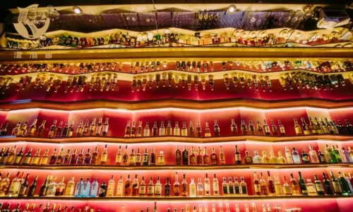 V. Lounge