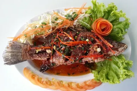 Papaya Restaurant (Indian & Thai Food)
