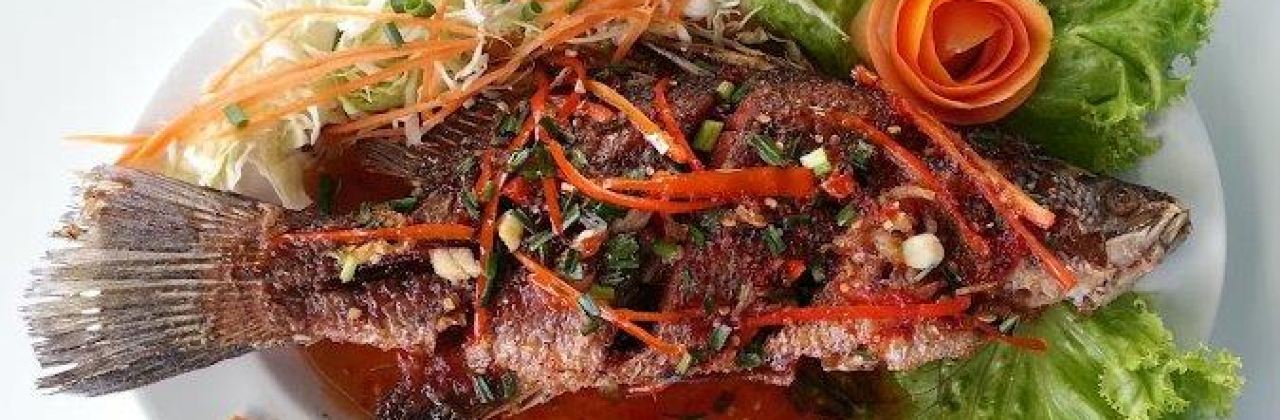 Papaya Restaurant (Indian & Thai Food)