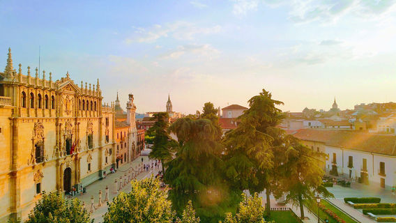 Alcalá University