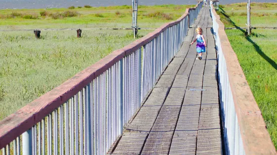 Sunnyvale Baylands Park