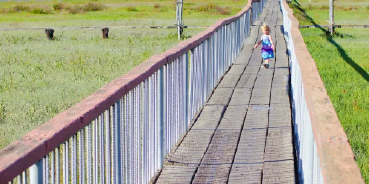 Sunnyvale Baylands Park