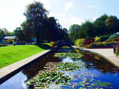 Abbey Park