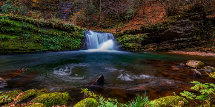 Liping National Forest Park