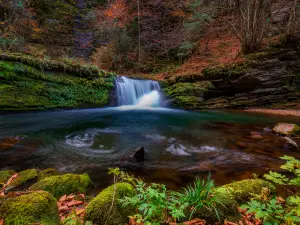 Liping National Forest Park