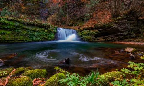 Liping National Forest Park