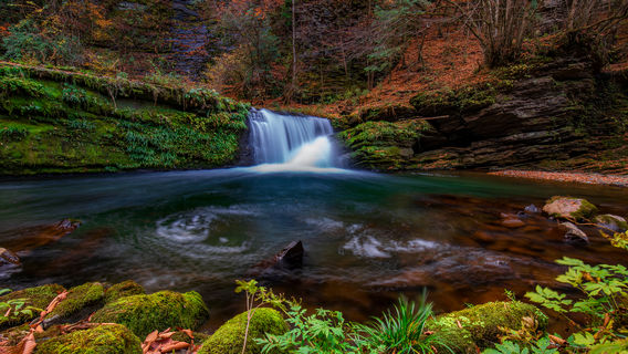 Liping National Forest Park