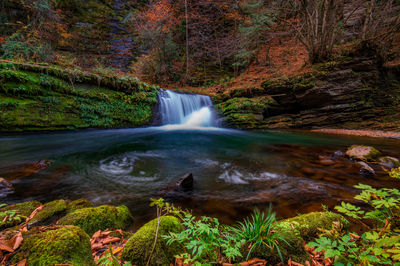 Liping National Forest Park