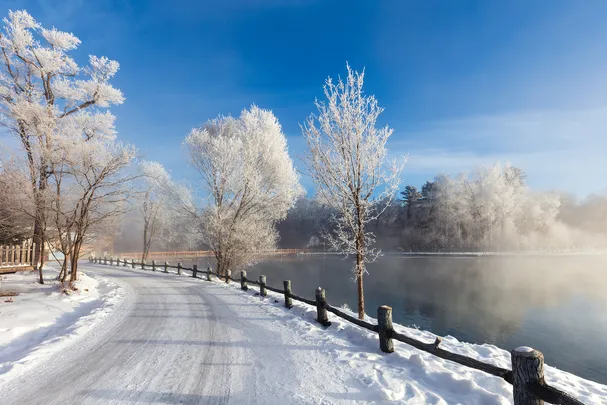 2_露水河國家森林公園