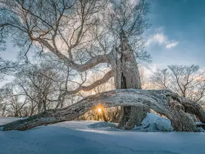 Sifangding Scenic Area of Longwanqun National Forest Park