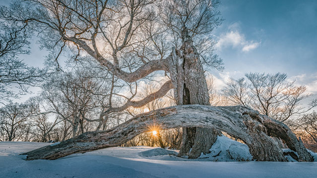 Sifangding Scenic Area of Longwanqun National Forest Park