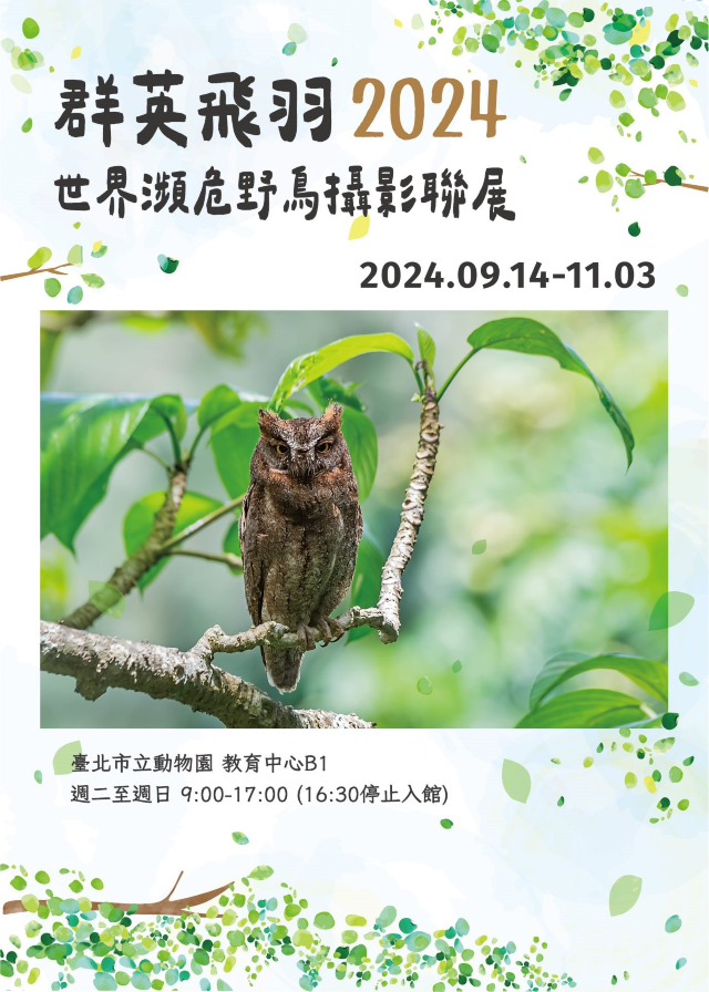 【台北】《群英飛羽》2024世界瀕危野鳥攝影聯展 | 臺北市立動物園