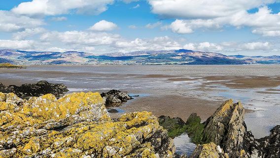 Blackrock, Co. Louth