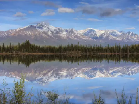 Tok River State Recreation Site