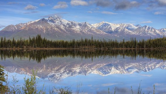 Tok River State Recreation Site