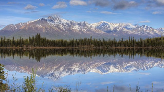 Tok River State Recreation Site