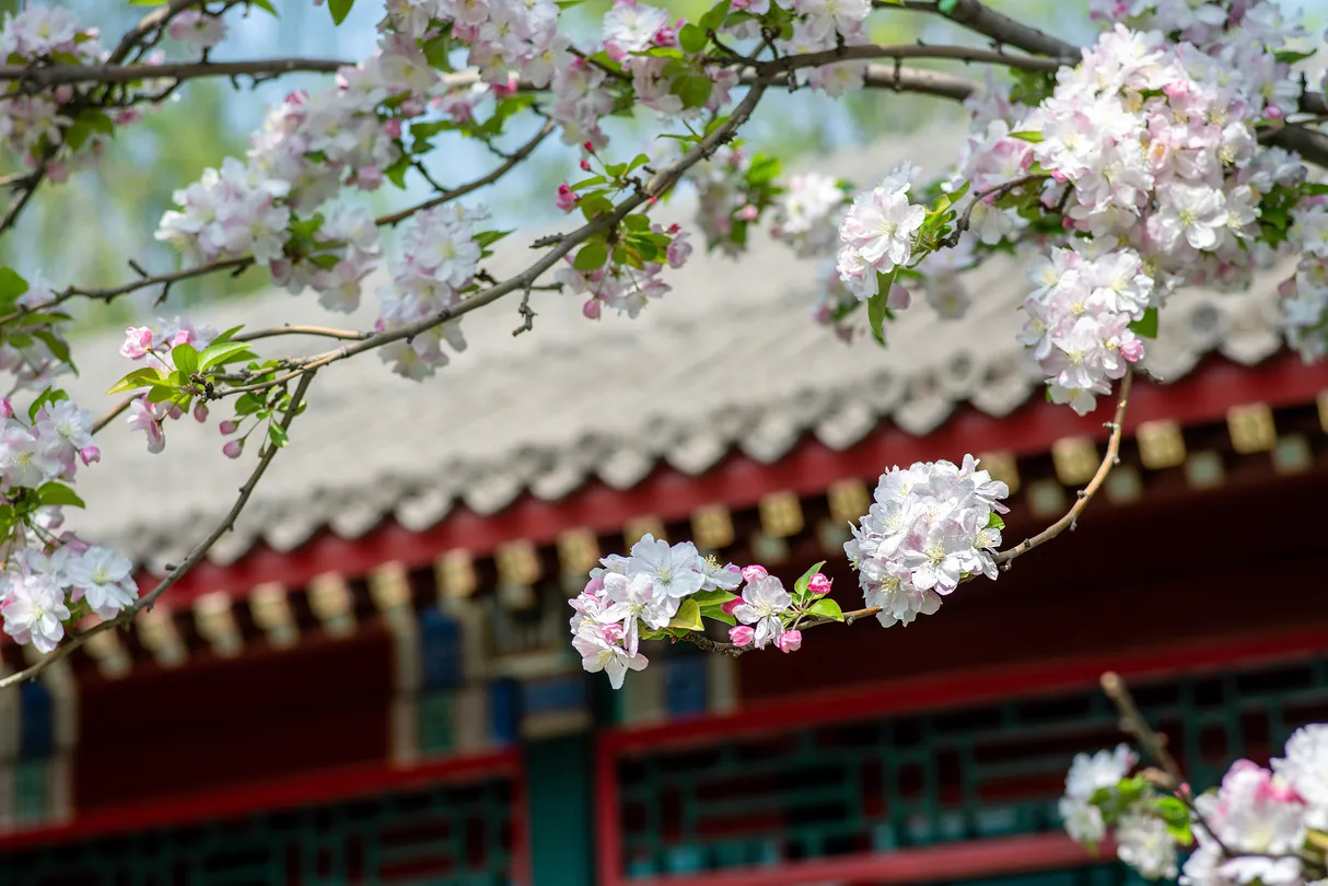 2_北京宋慶齡故居