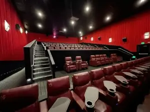 Premiere Cinema 14 Burleson
