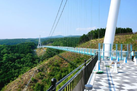 Izu Peninsula Travel Guide 2026: Top Attractions, Things to do