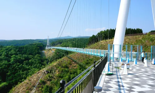 Mishima Sky Walk